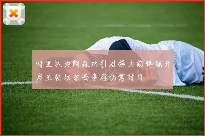 特里认为阿森纳引进强力前锋能开启王朝切尔西争冠仍需时日