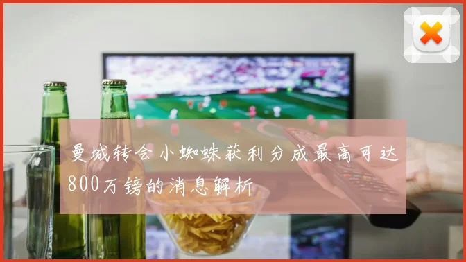 曼城转会小蜘蛛获利分成最高可达800万镑的消息解析
