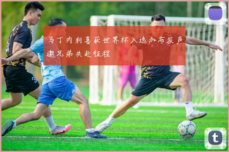 马丁内利喜获世界杯入选加布发声邀兄弟共赴征程